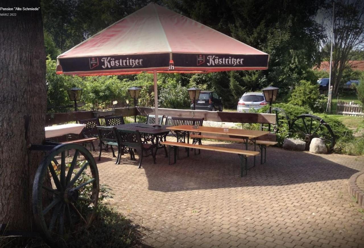Pension Alte Schmiede Greifswald Extérieur photo